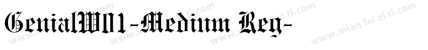 GenialW01-Medium Reg字体转换